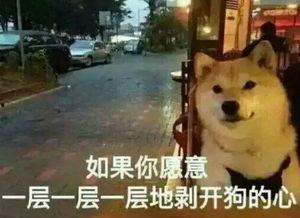 大爆料真实故事视频播放,真实故事视频背后的震撼真相 第1张 大爆料真实故事视频播放,真实故事视频背后的震撼真相 第1张